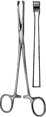 TISSUE & ORGAN