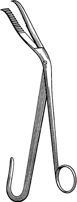 Sterilizing Forceps