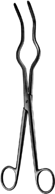 Sterilizing Forceps