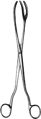 Sterilizing Forceps