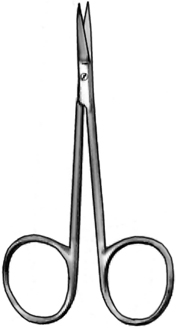Delicate Scissors