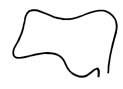 ENDOSPECULA