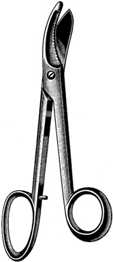 PLASTER SHEARS