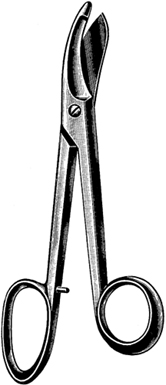 PLASTER SHEARS