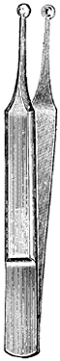 CILIA FORCEPS