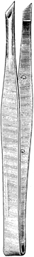 CILIA FORCEPS