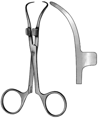 Towel forceps