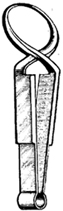 Towel forceps