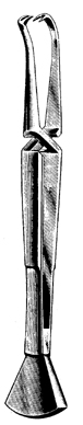 Towel forceps