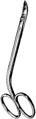 Delicate Scissors
