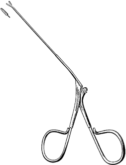 micro ear forceps