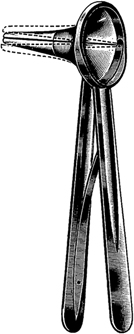 ear specula