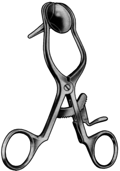 ear specula