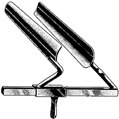 Nasal Speculum
