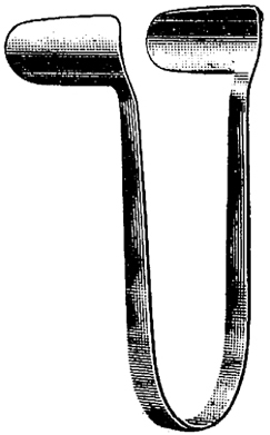 Nasal Speculum