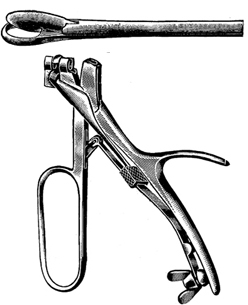 NASAL CUTTING FORCEPS