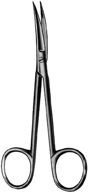 Delicate Scissors