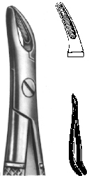 Tooth Extracting Forceps