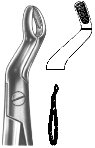 Tooth Extracting Forceps