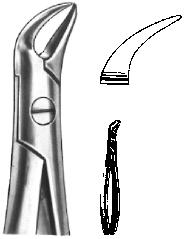 Tooth Extracting Forceps