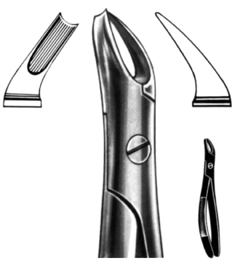 Tooth Extracting Forceps