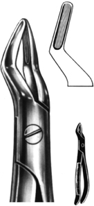 Tooth Extracting Forceps