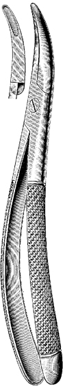 Tooth Extracting Forceps