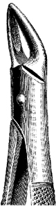 Tooth Extracting Forceps