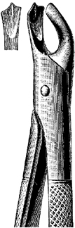 Tooth Extracting Forceps