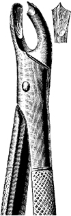 Tooth Extracting Forceps