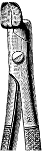 Tooth Extracting Forceps