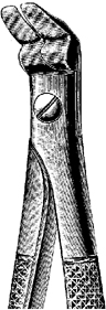 Tooth Extracting Forceps