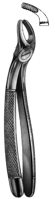 Tooth Extracting Forceps