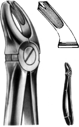 Tooth Extracting Forceps