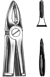 Tooth Extracting Forceps