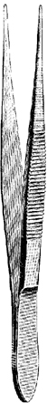 Dental Tweezers