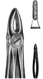 Tooth Extracting Forceps