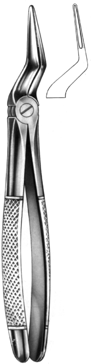 Tooth Extracting Forceps