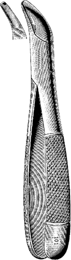 Tooth Extracting Forceps