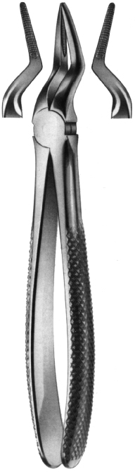 Tooth Extracting Forceps