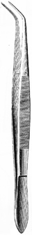 Dental Tweezers Delicate