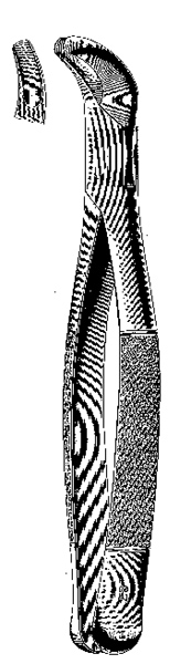 Tooth Extracting Forceps