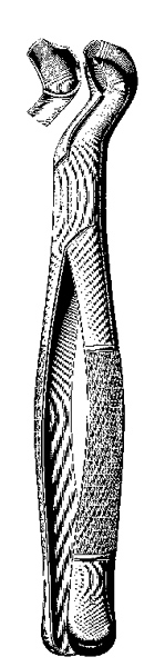Tooth Extracting Forceps