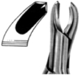 Tooth Extracting Forceps
