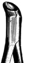 Tooth Extracting Forceps