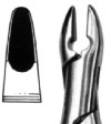 Tooth Extracting Forceps