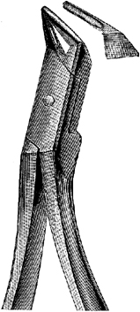 Tooth Extracting Forceps