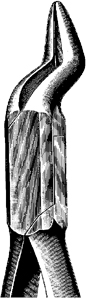 Tooth Extracting Forceps