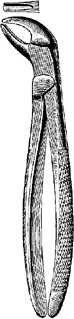 Tooth Extracting Forceps