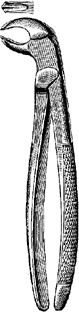 Tooth Extracting Forceps